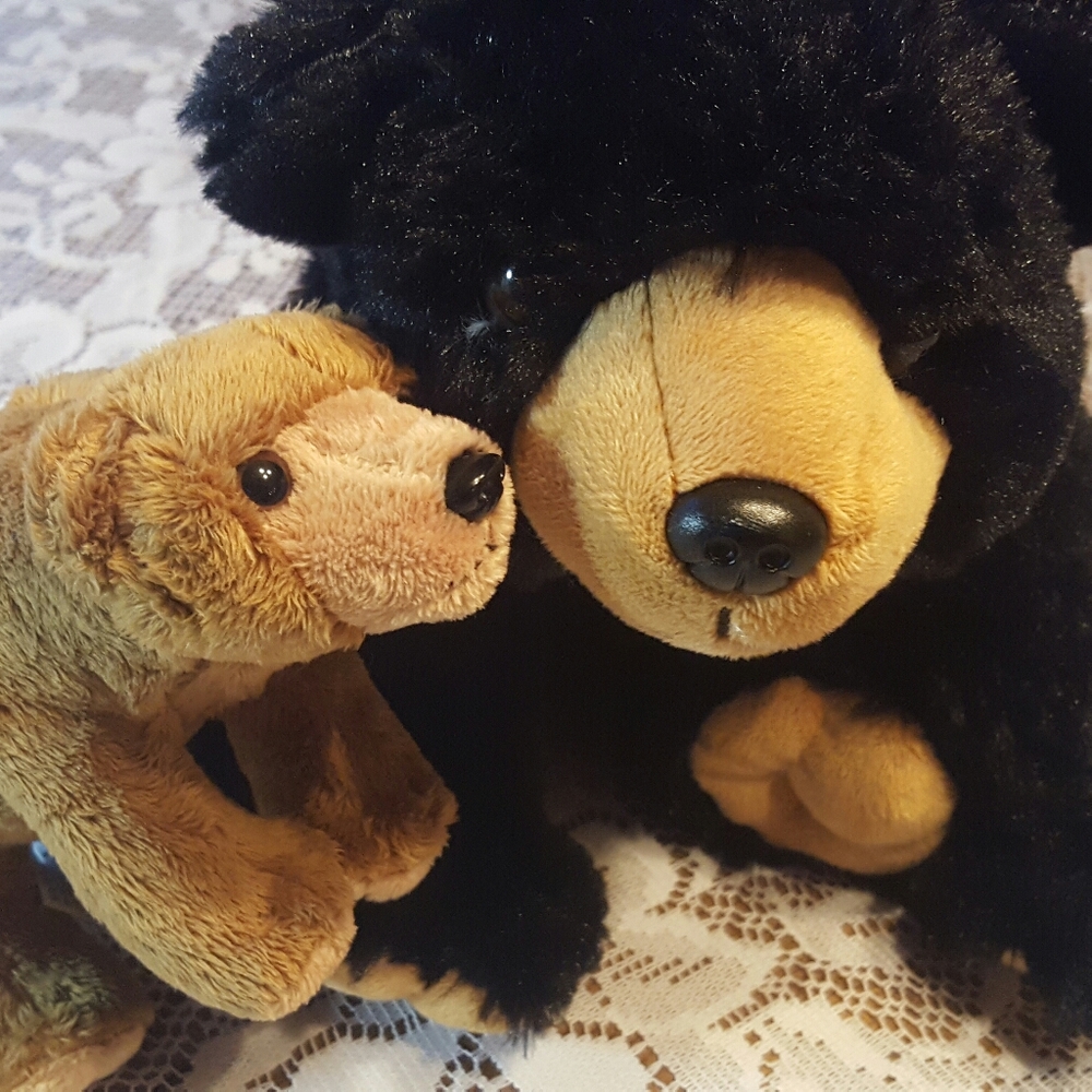 BLACK BEAR - WILD REPUBLIC - LELLY - BABY GRIZZLY